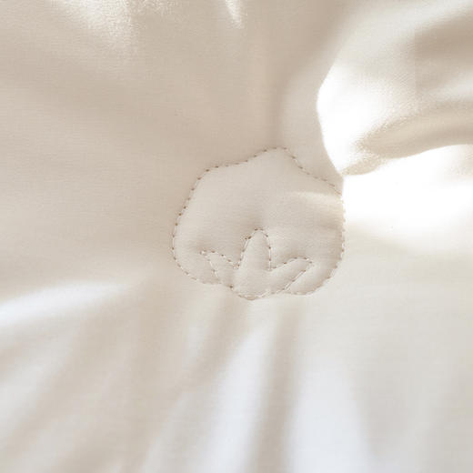 【里外全棉】轻奢高品质秋冬80支无染长绒棉新疆棉花被被子被芯 商品图9