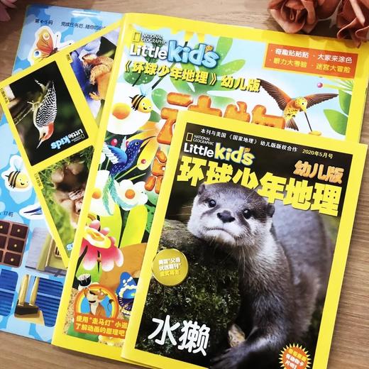 【订阅】环球少年地理幼儿版 Little Kids（2026年刊12期24本）赠送：鲜菇魔盒 商品图2