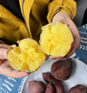 【桥头富硒地瓜】红薯 中国富硒地瓜之乡  粉糯香甜  无筋无丝  5斤装