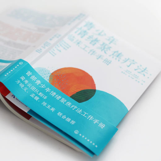 青少年情绪聚焦疗法 : 临床工作手册 商品图4