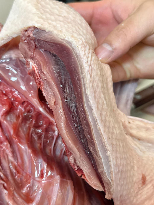 【风味人间】一啊鸭 双黑土鸭 生态慢养180天老鸭 不柴不腥不腻 顺丰冷链发货 商品图4