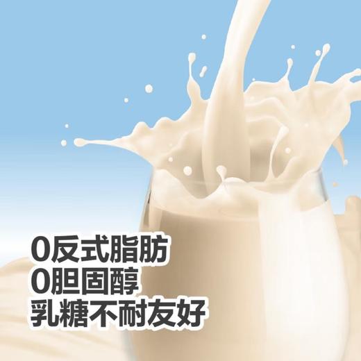 MM OATLY低GI燕麦奶250ml 商品图1