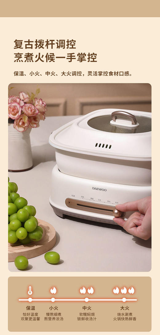 大宇分体式鸳鸯电火锅 商品图5