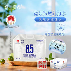 顺丰包邮【自营】绿洲时光克东天然苏打水 5L*2袋/箱 NM