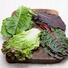 烤肉蔬菜组合200g 고기용쌈채소모둠200g 商品缩略图0