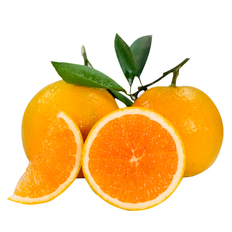 秭归 劲逮逮 九月红脐橙