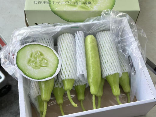 超级新鲜的“水果野黄瓜”绿色新鲜水果🌵  清爽你的味蕾！瘦身女士的佳品！小巧秀美，青翠欲滴，鲜嫩清脆🌸 清香扑鼻，清洗一下即可食用，营养丰富，美容美颜💆！ 商品图3