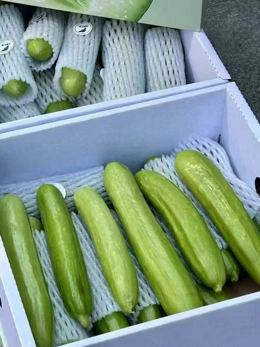 超级新鲜的“水果野黄瓜”绿色新鲜水果🌵  清爽你的味蕾！瘦身女士的佳品！小巧秀美，青翠欲滴，鲜嫩清脆🌸 清香扑鼻，清洗一下即可食用，营养丰富，美容美颜💆！ 商品图4