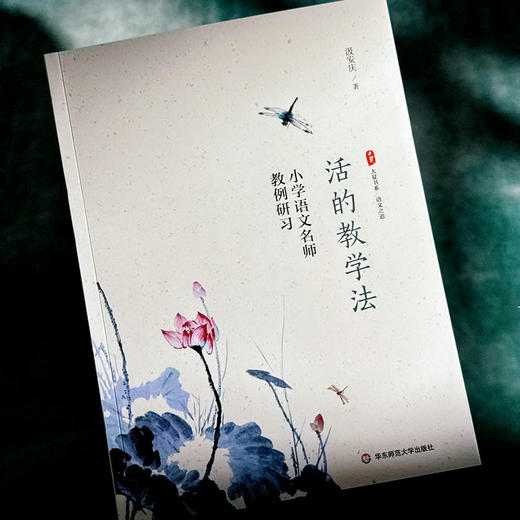 大夏书系·活的教学法——小学语文名师教例研习 商品图3