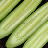 超级新鲜的“水果野黄瓜”绿色新鲜水果🌵  清爽你的味蕾！瘦身女士的佳品！小巧秀美，青翠欲滴，鲜嫩清脆🌸 清香扑鼻，清洗一下即可食用，营养丰富，美容美颜💆！ 商品缩略图5
