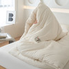 【里外全棉】轻奢高品质秋冬80支无染长绒棉新疆棉花被被子被芯 商品缩略图3
