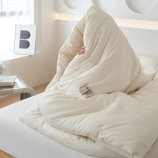 【里外全棉】轻奢高品质秋冬80支无染长绒棉新疆棉花被被子被芯 商品图3