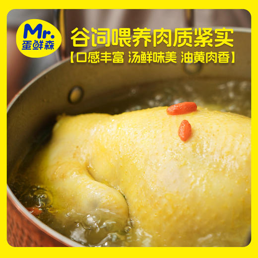 蛋鲜森 无抗500天黄油老母鸡1350g±100g/只 商品图4