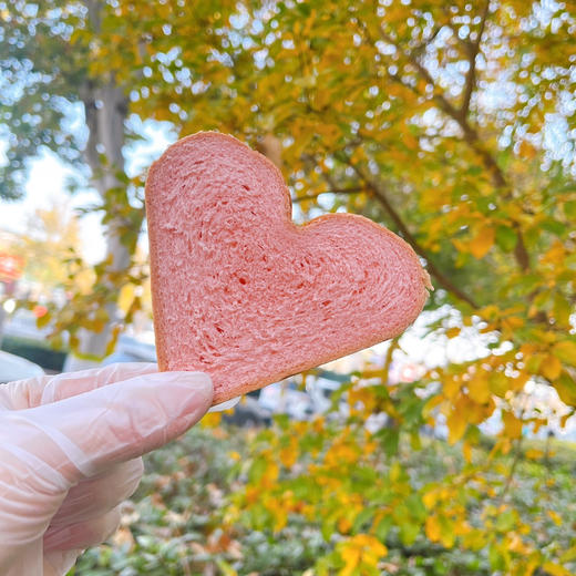 开心吐司 商品图0