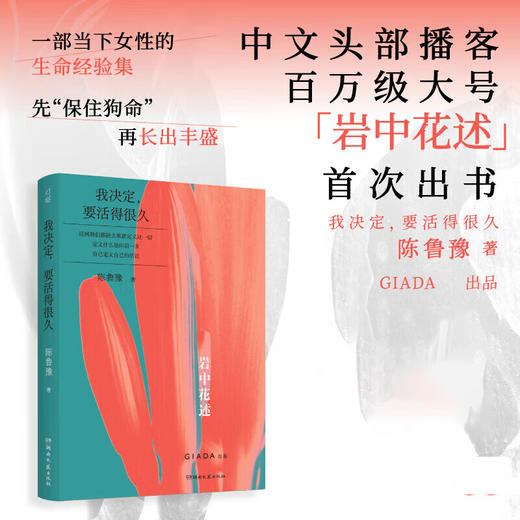 岩中花述 全四册 陈鲁豫著 知名媒体人、主持人、译者陈鲁豫领衔创作 商品图1