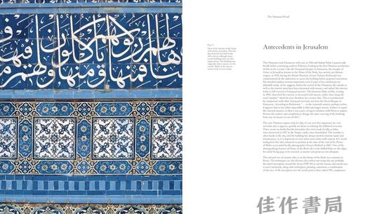 Damascus Tiles: Mamluk and Ottoman Architectural Ceramics from Syria (Compact Edition) /大马士革瓷砖：叙利亚的马 商品图1