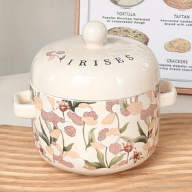 鸢尾花双盖炖盅500ml