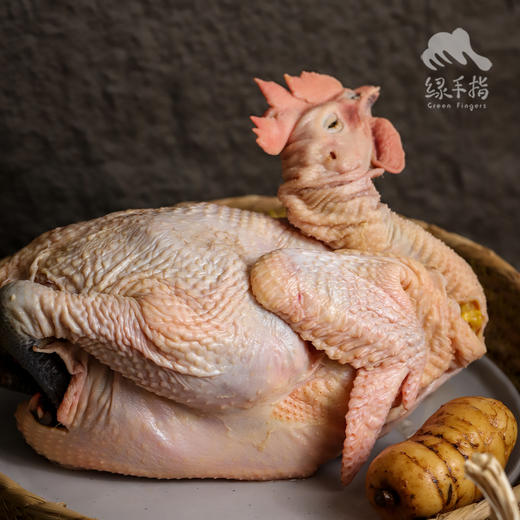 生态芦花鸡老母鸡/老公鸡 | 合作生产 *Eco-chicken | Partner Production 商品图2