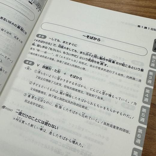 新日语能力考试对策语法N1 商品图5