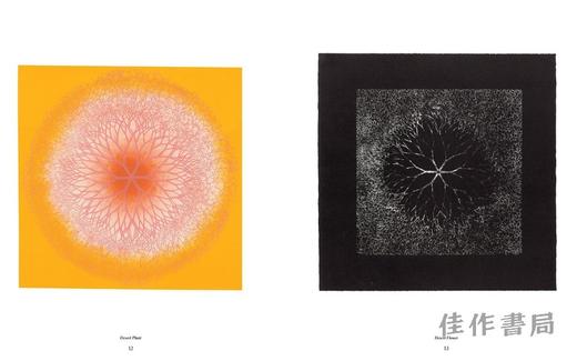 Ruth Asawa: The Tamarind Prints / 露丝?阿萨瓦：罗望子版画 商品图1
