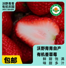 【预售】沃野青青香草莓 有机草莓 果肉紧实 口感香甜 果香四溢 唇齿留香