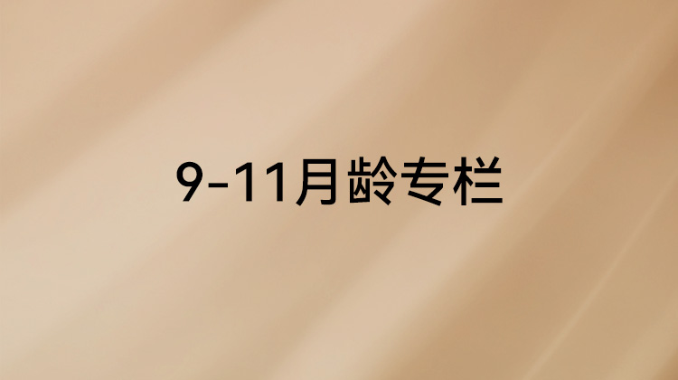 《父母必修课》9-11月龄