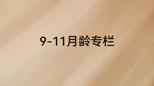 《父母必修课》9-11月龄 商品图0
