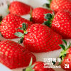 【预售】沃野青青香草莓 有机草莓 果肉紧实 口感香甜 果香四溢 唇齿留香 商品缩略图5