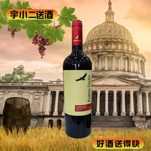 【进口红酒】智利安蒂斯神鹫干红13.5度750ml 商品图0