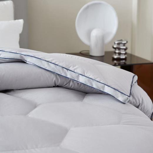 【恐龙厅】B7 丨恐龙星宇抗菌白鹅绒冬被 商品图2