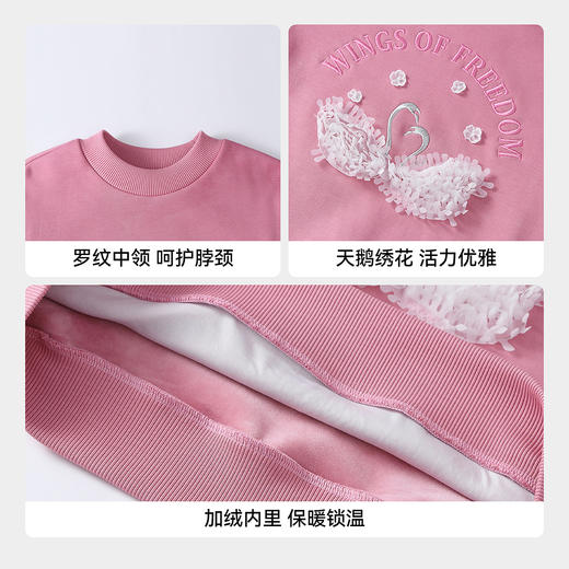 【实体店同款】女童中领卫衣冬季新款安奈儿童装AG541396 商品图4