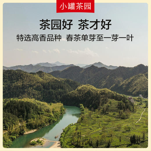 小罐茶 小罐茶园金标系列 茶叶礼盒 金骏眉红茶 .茉莉花茶.大红袍茶圆单罐装 商品图7