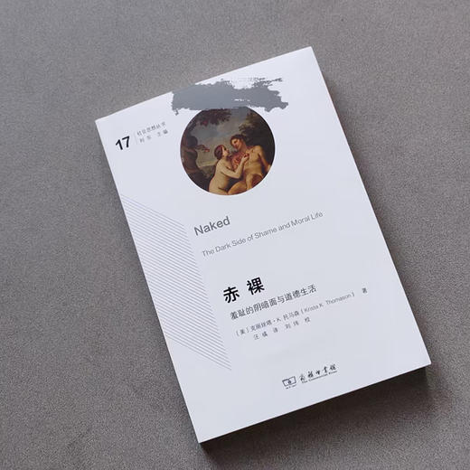 chi裸：羞耻的阴暗面与道德生活(社会思想丛书) 商品图6
