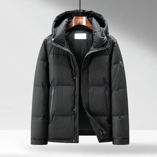 【门店新品&白鸭绒】圣得西男羽绒服25冬季时尚提花连帽羽绒外套 商品图13
