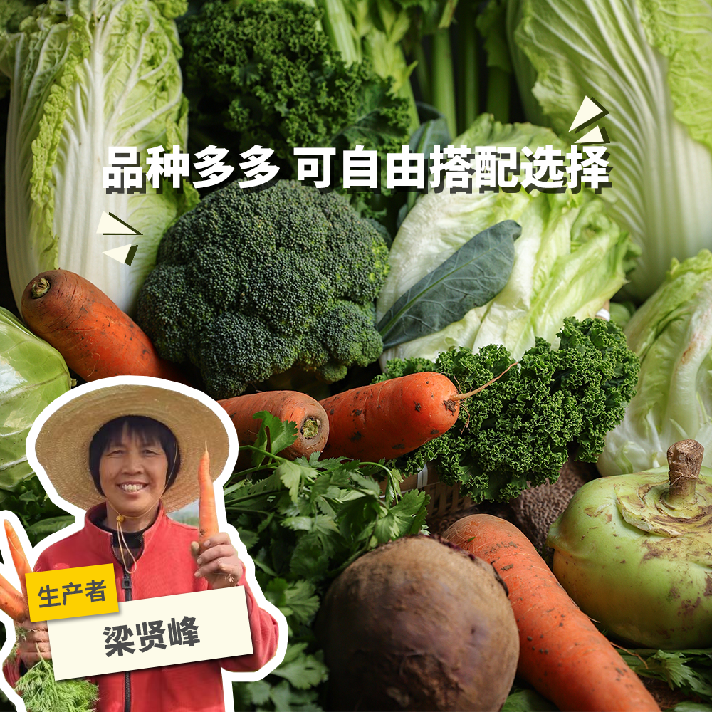 生态河南蔬菜箱（可自选）| 合作生产*ecological salad vegetable box  | Coproduction