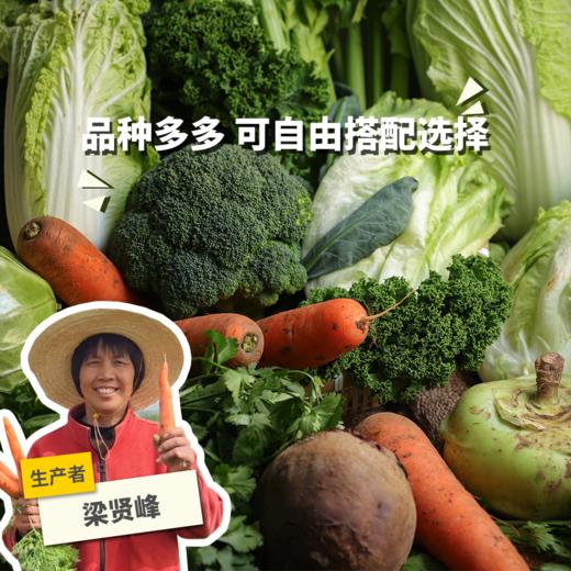 生态河南蔬菜箱（可自选）| 合作生产*ecological salad vegetable box  | Coproduction 商品图0