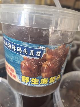 舟山野生海蜇头22.8元1桶3斤＋整桶，明天到