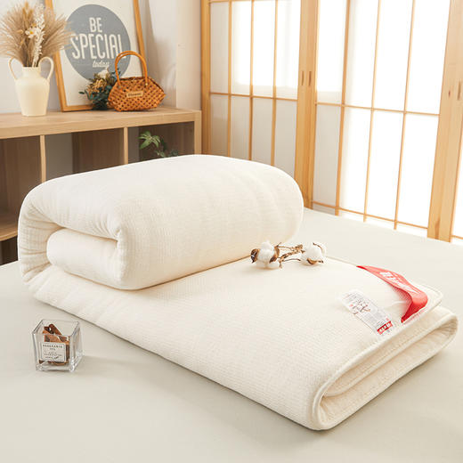 【品牌直发】加倍生活 新疆生态棉花被/床褥垫 新疆棉花填充全棉棉花床垫 棉絮垫子床褥 单人垫被全棉 商品图2