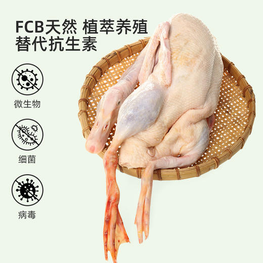 宏鸭无抗雪花鸭，保留了鸭肉本身的鲜香，腥味更淡，无论是煎、烤、炖、炒，都能凸显原汁原味 商品图5