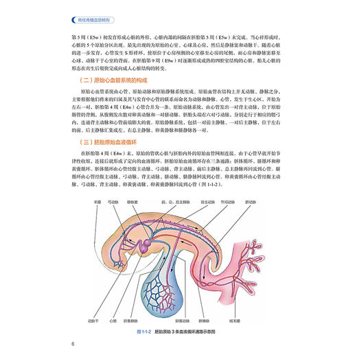 脊柱脊髓血管畸形 张鸿祺 凌锋 主编 本书对脊柱脊髓血管畸形进行了系统详细的介绍 西医 外科学 9787117381031 人民卫生出版社 商品图4