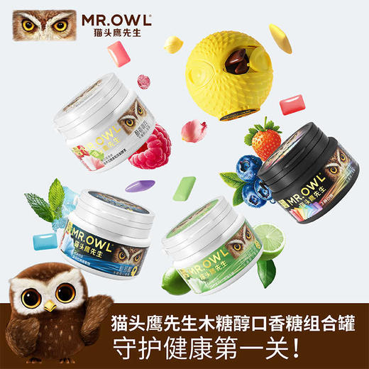 猫头鹰先生无糖口香糖50g 随时随地清新口气 060114/060116/064573  新老包装随机发货 商品图0