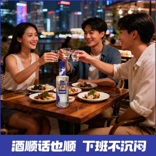 郎酒 顺品郎480蓝款 45度兼香型白酒 480ml 十二瓶整箱装 商品图2