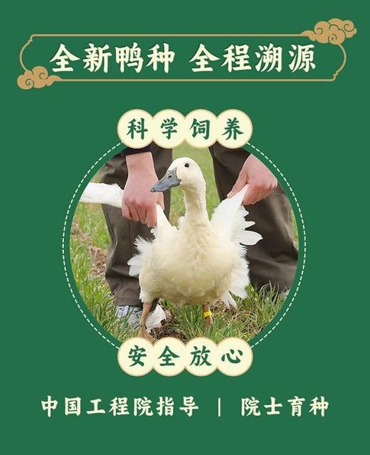 【风味人间】一啊鸭 双黑土鸭 生态慢养180天老鸭 不柴不腥不腻 顺丰冷链发货 商品图12