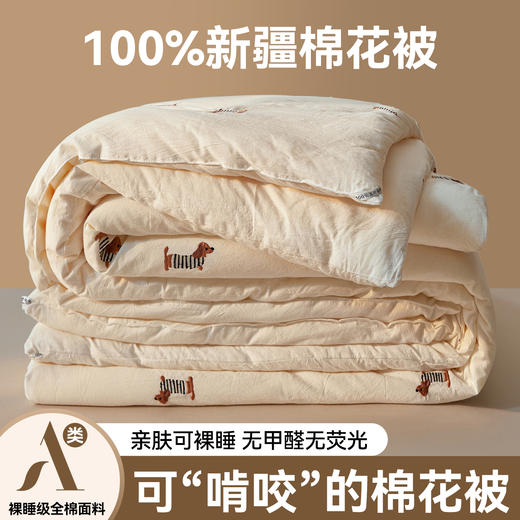 【品牌直发】小象咘叮 绣花被全棉刺绣被芯 里外全棉新疆棉花被纯棉被芯被子春秋被冬被儿童被 商品图2