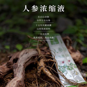 人参浓缩液  15ml*10袋/盒