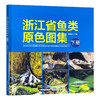 浙江省鱼类原色图集（下册） 商品缩略图1