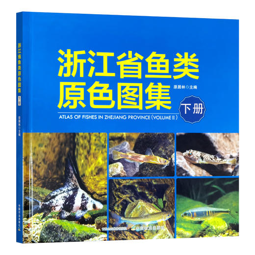 浙江省鱼类原色图集（下册） 商品图1