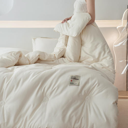 【里外全棉】轻奢高品质秋冬80支无染长绒棉新疆棉花被被子被芯 商品图4