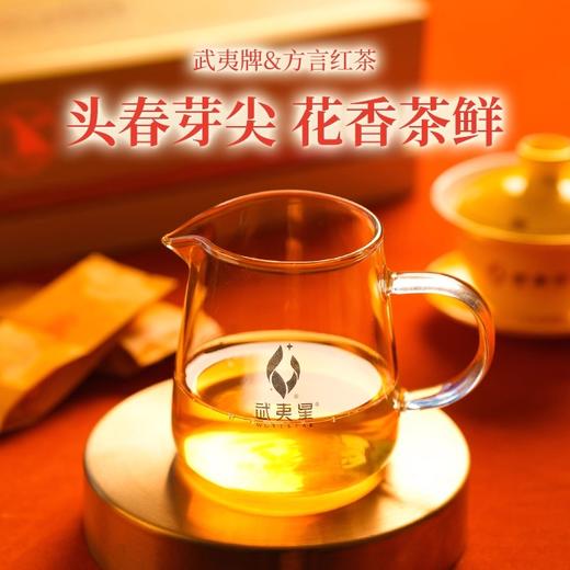 武夷星 武夷 方言 金骏眉 武夷红茶 茶叶礼盒 5g*48 商品图3