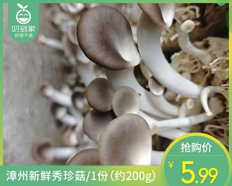 【叼鲜蔬】漳州新鲜秀珍菇/1份（约200g）